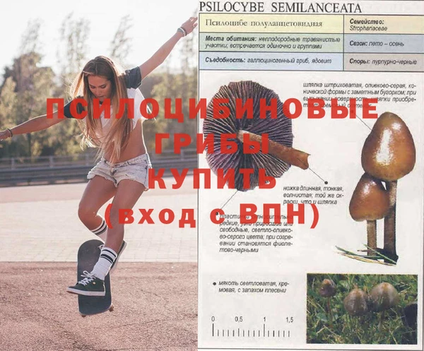 прущий лед Лагань