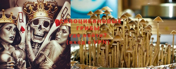 первитин Ладушкин