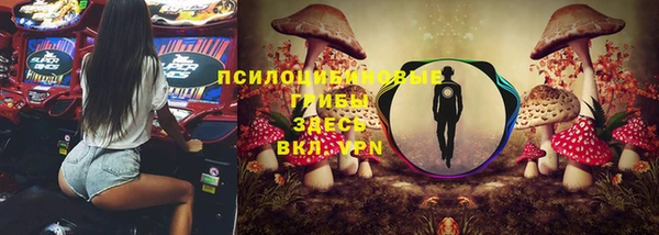 прущий лед Лагань