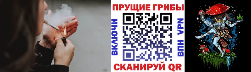 дарк нет состав  купить  сайты  Симферополь  Галлюциногенные грибы прущие грибы 